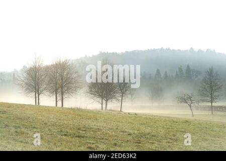 Herbstliche Landschaft bei Bielefeld Foto Stock