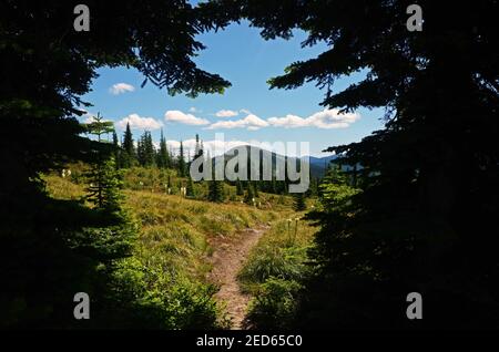 Buckhorn Ridge Roadless Area nelle Purcell Mountains lungo il Montana Idaho divide. Montana nord-occidentale. (Foto di Randy Beacham) Foto Stock