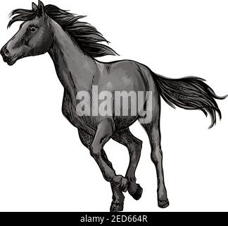 Cavallo bianco che corre liberamente. Galoppe allo stallone di mustang selvatico contro il vento con la mane e la coda sventolanti. Verticale vettoriale Illustrazione Vettoriale