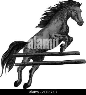 Cavallo nero corsa mustang saltando sopra barriera e correndo su cavalli. Vetector sketch cavallo stallone per gare equestri sport e scommesse, cavallo sbarazzato Illustrazione Vettoriale