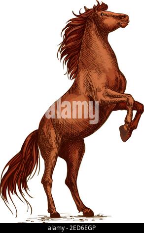 Stallone bruno arabo selvaggio che infuria e si allontana sullo zoccolo posteriore. Vetector sketch cavallo forte per gare sportive, sport equestri, icona corse ippiche, la Illustrazione Vettoriale