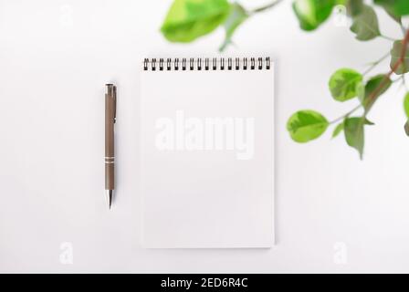 Vista dall'alto di un notebook vuoto aperto su spirale, foglie di piante domestiche e penna automatica. Foto Stock