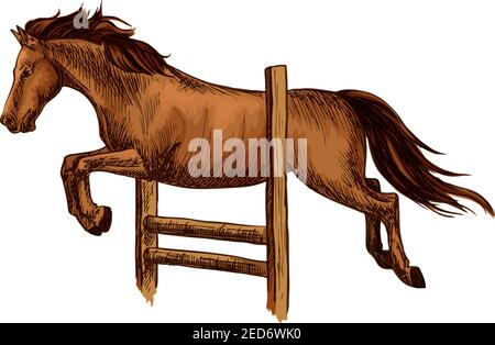 Corse di cavalli e saltare oltre barriera. Simbolo di corse ippiche. Mustang arabo bruno che salta sopra la recinzione Illustrazione Vettoriale