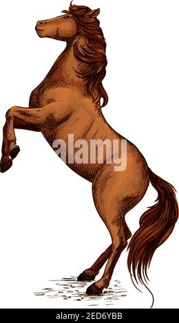 Bruno stallone arabo mustang che si allontana sugli zoccoli. Horserace sport simbolo di colore cavallo. Disegno vettoriale per sport equestri, equitazione, desi equestri Illustrazione Vettoriale