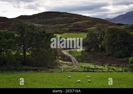 Teangue villaggio sulla penisola di Sleat, Isola di Skye, Scozia Foto Stock