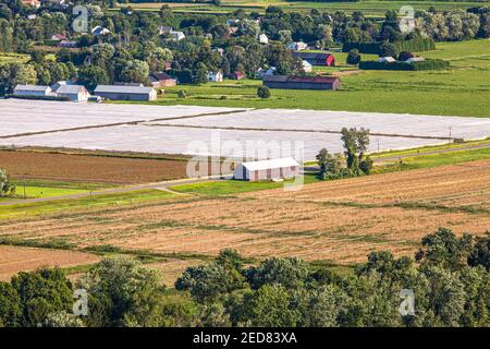 Vista dal monte Sugarloaf, riserva statale del monte Sugarloaf, South Deerfield, Massachusetts Foto Stock