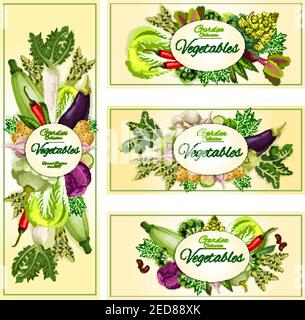 Set di striscioni per verdure. Vegetariano sano cibo biologico di verdure zucca zucchina, cavolo e porri di cipolla, rafano, pomodoro, cetriolo e patate, mais Illustrazione Vettoriale