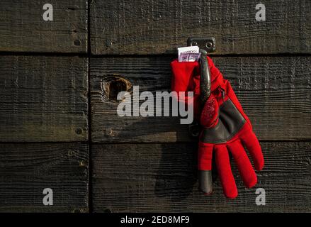 Lost Red Glove Hanging su recinzione in legno Foto Stock