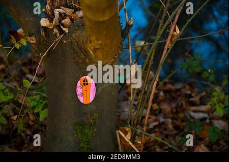 Piccola porta comica in Tree Foto Stock