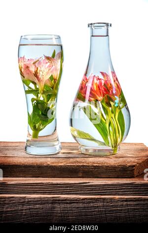 Tagliare fiori e gigli rosa in un vaso pieno di acqua su un tavolo di legno di fienile marrone di fronte uno sfondo bianco Foto Stock