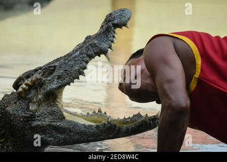 Un esecutore che mette la testa tra le galatie di un coccodrillo durante uno spettacolo alla Samutprakarn Crocodile Farm and Zoo. La fattoria e lo zoo sostiene di essere la più grande fattoria di coccodrilli del mondo con coccodrilli d'acqua dolce e coccodrilli in mare. Più di 40,000 caratteri e offerte. Spettacoli come l'alligatore lotta per attirare i turisti riaprire in mezzo all'epidemia di coronavirus. Foto Stock