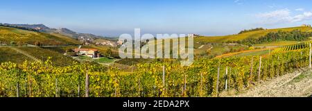 Ampia vista panoramica sui vigneti delle Langhe vicino a Barolo, patrimonio dell'umanità dell'UNESCO, regione piemontese, Italia Foto Stock