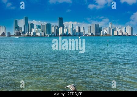 Lo skyline di Miami visto dall'interno del ristorante Rusty Pelican sulla Rickenbacker Causeway a Miami, Florida. Foto Stock