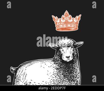 Vector stilizzato primo piano Illustrazione della Regina pecora con una corona sulla testa e divertente espressione facciale sorpresa. Illustrazione a fumetto di Illustrazione Vettoriale