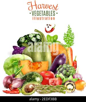 Raccolta di verdure autunnali design concept con icone colorate di Greengrocery zucchine zucca pomodoro carota aglio cavolo realistico vettore Illus Illustrazione Vettoriale