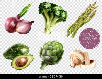 Set di verdure realistiche icone isolate su sfondo trasparente con cipolla di avocado broccoli carciofo asparagi funghi illustrazione vettoriale Illustrazione Vettoriale