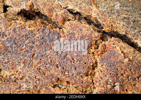 Pane di segale appena sfornato in chioccie di crepe Foto Stock