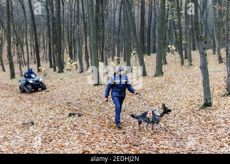 Un soccorritore con un cane su un guinzaglio cerca nei boschi, un soccorritore su un ATV cerca anche. Cerca un uomo nel bosco Foto Stock