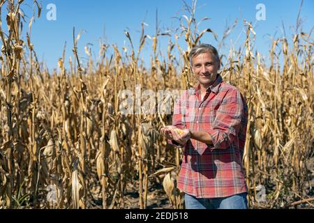 Mani del coltivatore che tengono raccolto grano granoturco. Buon contadino con i chicchi di mais nelle mani guardando la macchina fotografica. Foto Stock