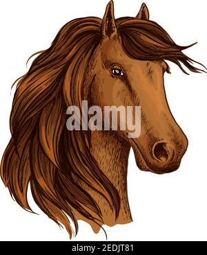 Cavallo o mustang foal. Giovane equino testa di mare vettore schizzo. Simbolo di stallone marrone arabo per gare equestri, corse ippiche club o exh Illustrazione Vettoriale