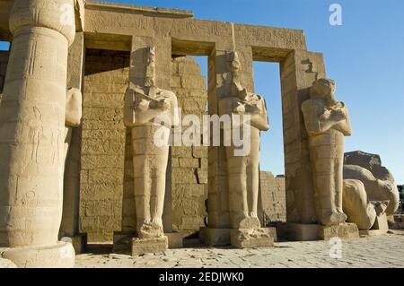 Statue enormi del faraone Ramses II in un cortile interno del tempio Ramesseum sulle rive occidentali del fiume Nilo a Luxor, Egitto. Foto Stock