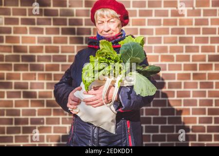 Foglie fresche Lattuga in sacchetto organico in mano donna, stile di vita sano Foto Stock