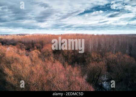 Terreno boscoso paludoso, vista aerea dal drone pov. Fiume Tisza ossbow a Vojvodina, Serbia Foto Stock