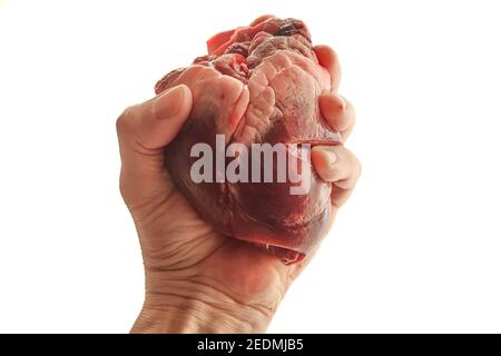 Cuore in mano umana vicino isolato su sfondo bianco Foto Stock