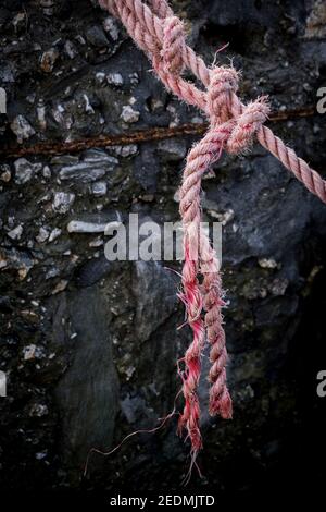 Una fune spessa annodata sfilacciata in polipropilene Foto Stock