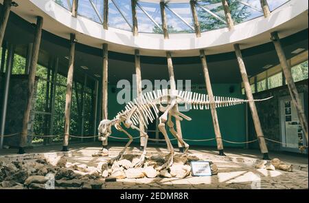 Dinosauro Foto Stock