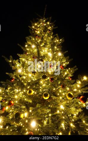 30.12.2019, Berlino, Brandeburgo, Germania - l'albero di natale decorato in modo festivo si illumina di notte. 00S191230D256CAROEX.JPG [VERSIONE DEL MODELLO: NON APPLICA Foto Stock