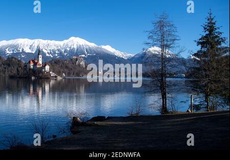 Bled, Slovenia. 15 Feb 2021. La Chiesa dell'Assunzione della Vergine Maria sull'isola di Blejski Otok nel lago di Bled ai piedi dell'altopiano di Pokljuka. Il Castello di Bled è visibile sullo sfondo. Pokljuka ospiterà i Campionati del mondo di Biathlon dal 10-21 febbraio 2021. Credit: Sven Hoppe/dpa/Alamy Live News Foto Stock