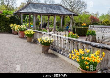 Una colorata esposizione di vari narcisi e narcisi nei Lakeside Gardens presso il RHS Harlow Carr Garden, nr Harrogate, North Yorkshire, Inghilterra Foto Stock