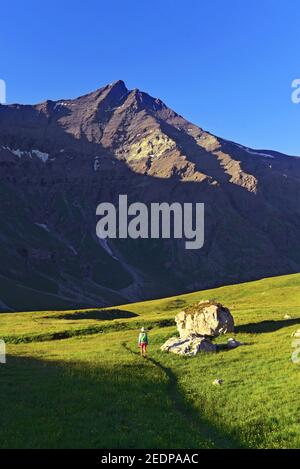 Fai trekking su un alp fino alla vetta dell'Aiguille de la Grande Sassiere, Francia, Savoia, Tignes Foto Stock