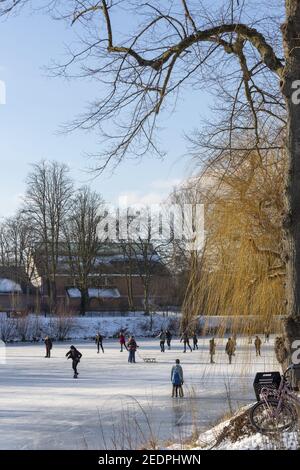 ZUTPHEN, PAESI BASSI - Feb 12, 2021: Telaio verticale con albero colorato sul lato e la gente pattinaggio sul ghiaccio sul lago della città sullo sfondo Foto Stock
