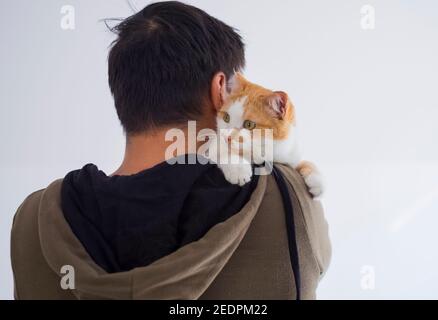 Gatto carino seduto sulla spalla dell'uomo Foto Stock