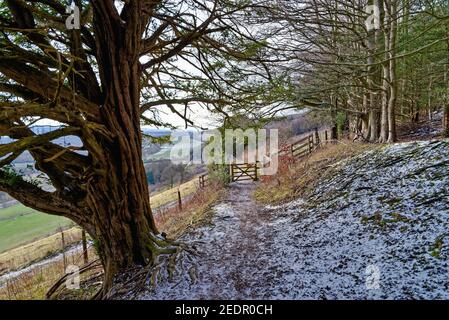Un paesaggio invernale a Ranmore Common sul North Downs nel Surrey Hills Dorking, Inghilterra Regno Unito Foto Stock