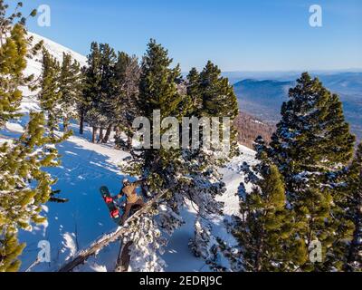 Il pilota dello snowboarder si alza sull'albero, guarda attraverso il sentiero neve fresca foresta off-piste. Vista dall'alto dell'antenna. Foto Stock