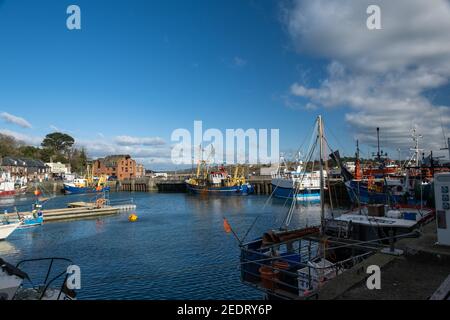Le tradizionali navi da pesca ormeggiate nel porto di Padstow in alta marea in una giornata luminosa contro un cielo blu. Foto Stock