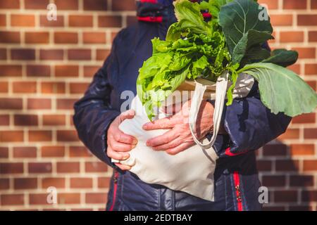 Foglie fresche Lattuga in sacchetto organico in mano donna, stile di vita sano Foto Stock