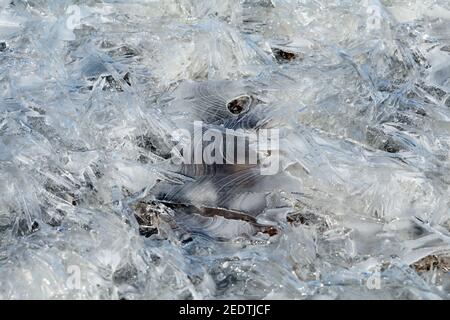 Schema di ghiaccio astratto 15 marzo 2019 presso Brandon, South Dakota Foto Stock