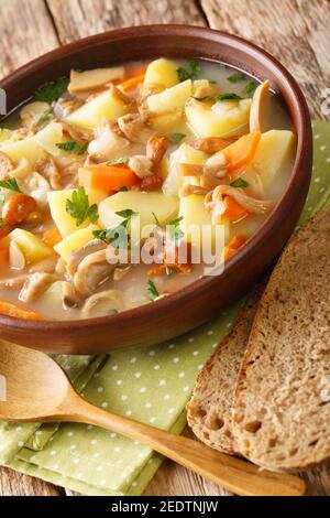 Zuppa ceca di patate Bramboracka con funghi di bosco chiocSEUP nel piatto sul tavolo. Verticale Foto Stock