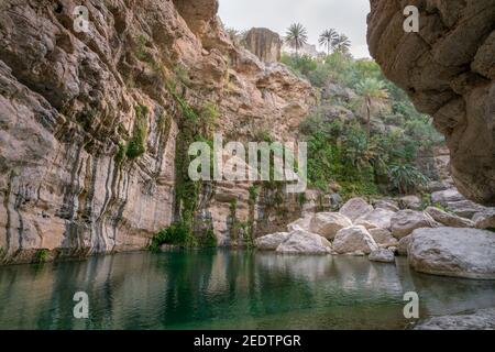 Bella piscina naturale nella gola di Wadi Tiwi, Oman. Acqua verde con scogliere di arenaria e palme intorno ad essa. Foto Stock