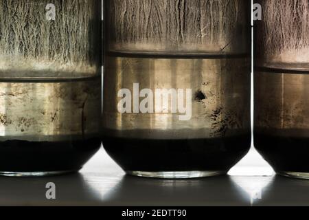 Sedimentazione di pigmento tonale di olio nero in minerale di solvente organico l'olio si deposita con macchie di pigmenti all'interno Di vaso di vetro RGB Foto Stock