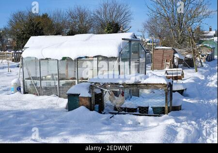 serra di assegnazione coperta nella neve d'inverno, conestable del melton, norfolk del nord, inghilterra Foto Stock