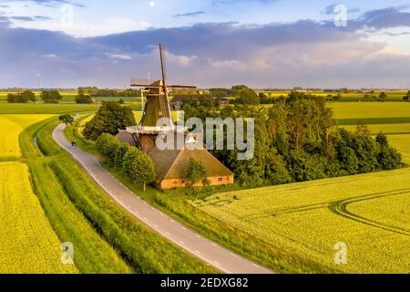 Mulino a vento storico in una fattoria in campagna nella provincia di Groningen, Paesi Bassi. Foto Stock