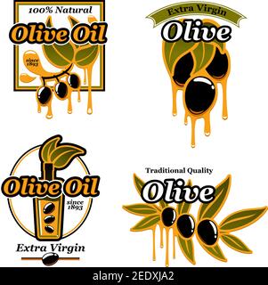 Olio d'oliva icone di olive verdi o nere fresche e bottiglie. I simboli vettoriali dei frutti di olivo sono impostati per una sana cucina italiana o per una specie di cibo extra vergine Illustrazione Vettoriale