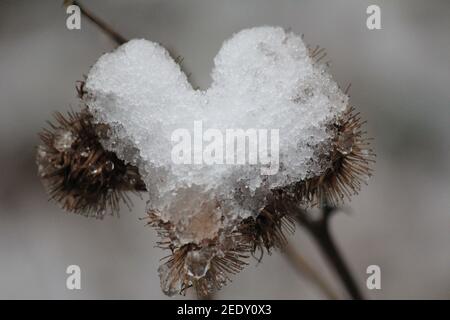 Inverno nel Citypark Staddijk Foto Stock