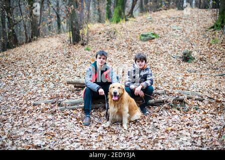 ragazzi seduti su tronchi, nei boschi con cane, ritratto di ragazzi nei boschi che camminano con un cane Foto Stock