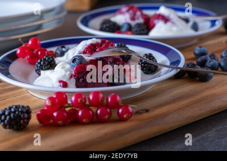 Dessert sano con sorbetto al mirtillo rosso fresco e salsa di yogurt su piatti. Primo piano e vista frontale. Fatti in casa Foto Stock